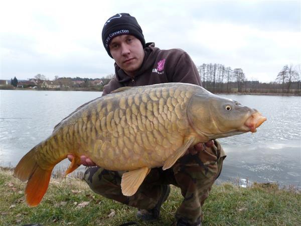 diverse adunate 2 - 5992345134147520385331474016016n1.jpg